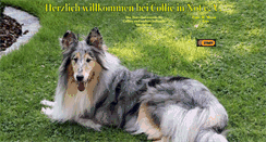 Desktop Screenshot of collie-in-not-tierschutz.de